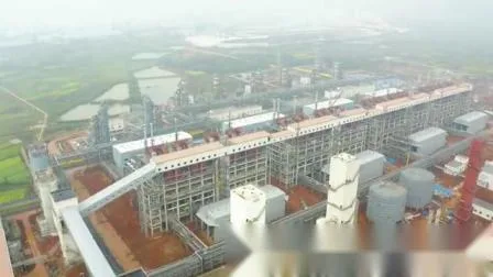 Zirkulierender Wirbelschichtvergaser 80000 nm3/H, hergestellt in China